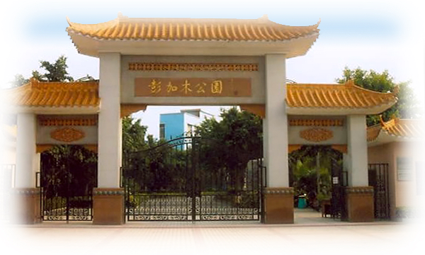 图片 5.png