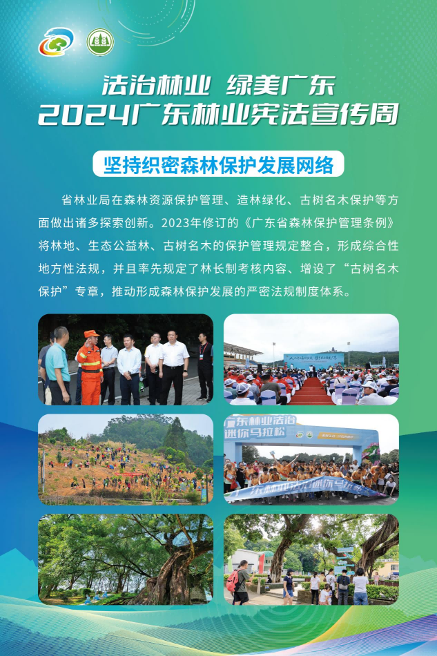 图片 6.png