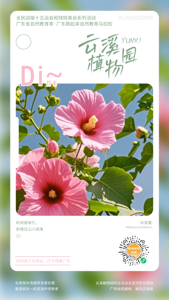 图片 7.png