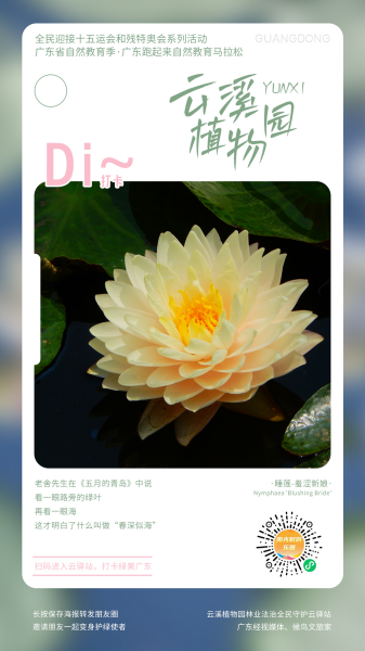 图片 9.png