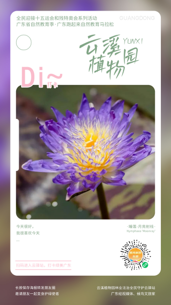 图片 8.png