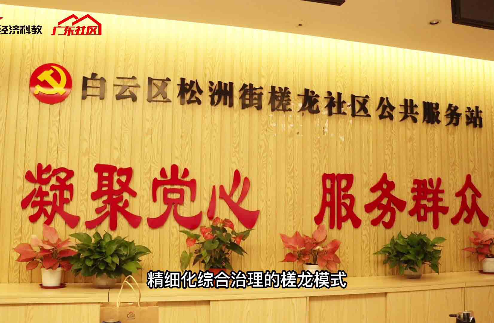 走向共同富裕：槎龙联社的幸福密码