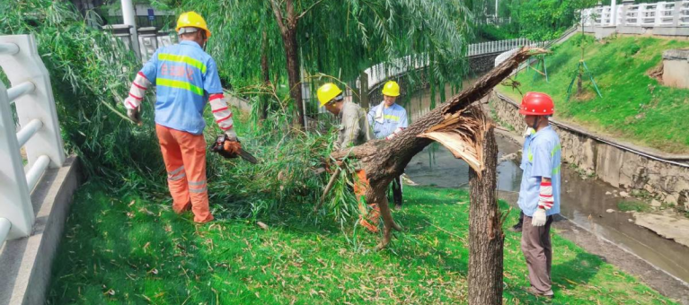 白云城管：雨后绿化抢险140宗，为市民安全保驾护航