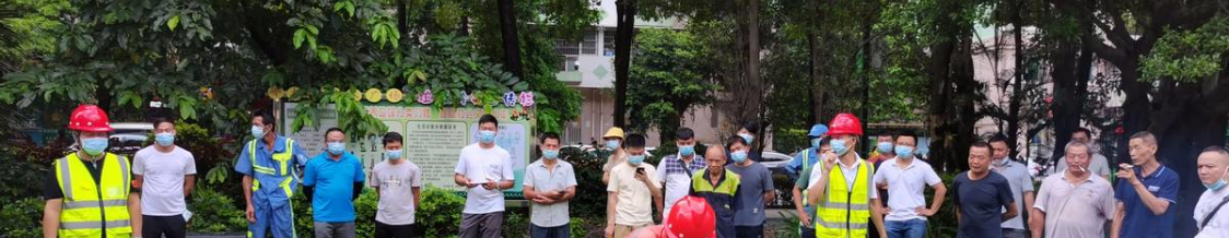 广州白云：教师节前夕，园林植物修剪“老师”现场传道授业解惑