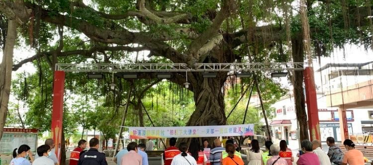 广州白云：钟落潭镇茅岗村共享榕树下城中村治理之荫