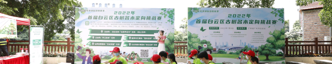广州白云：掀起古树名木打卡热潮，全民共建绿色生态文明