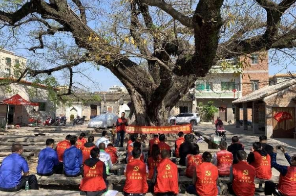 面对面学习！龙归街举办文物古建及古树名木现场培训交流活动