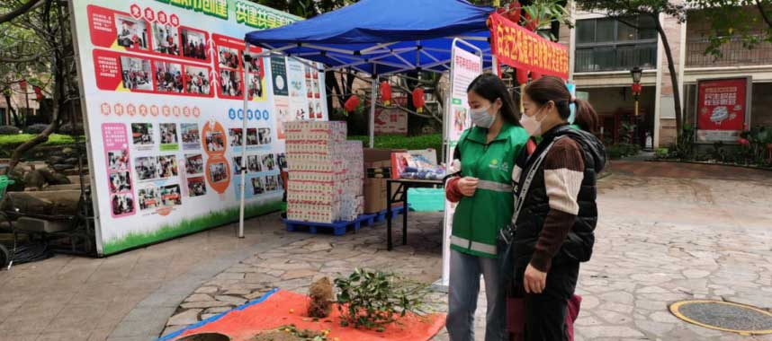 广州白云：活用“三板斧”，开辟一条年花年桔处置的新路径