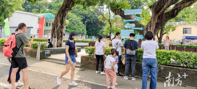 广东省林业局：法治林业，绿美广东