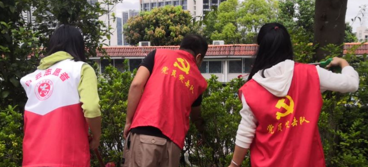 白云大源：垃圾分类进社区，卫生清洁大扫除