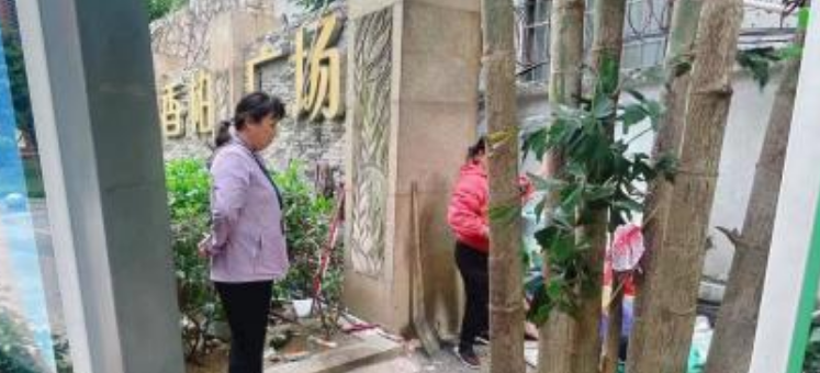 白云京溪：普法执法双促进，垃圾分类见实效