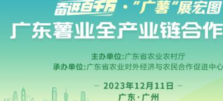 广东薯业加工多元化探索：从 “小特产”迈向“健康食品大产业”
