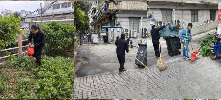 扮靓家园庆新春！白云棠景开展环境卫生清理活动