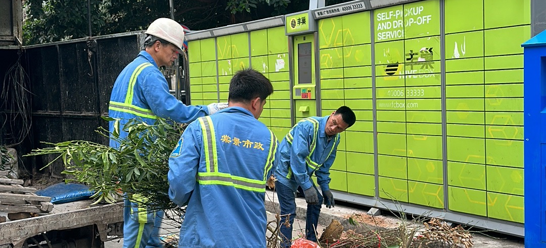 废弃年花年桔莫乱扔！白云棠景开展专项回收特殊废弃物整治行动