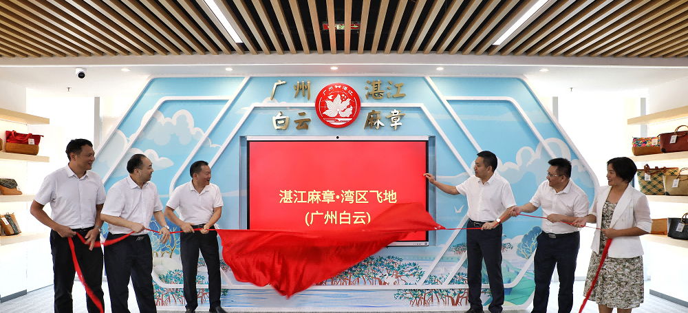 湛江麻章·湾区飞地（广州白云）这一年