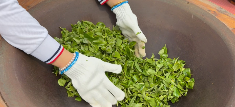 广东金融活水精准滴灌英德红茶 加速千亿产业集群成型