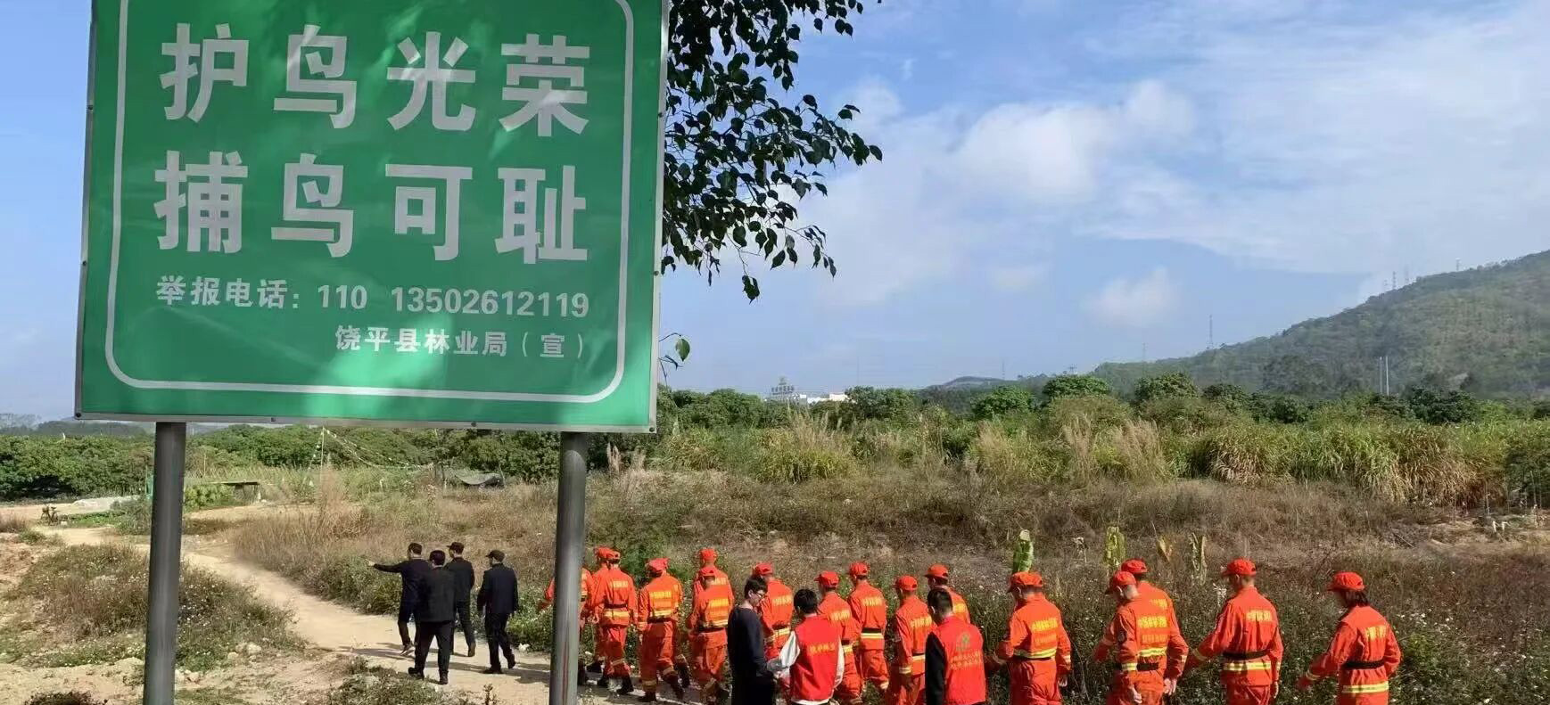 万众护飞 | 激活社会力量，爱鸟护鸟全体行→