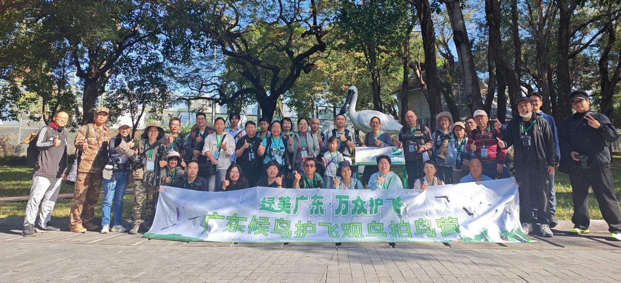 广东观鸟拍鸟营走进深圳福田红树林保护区 观鸟实践点燃湾区青少年自然热情