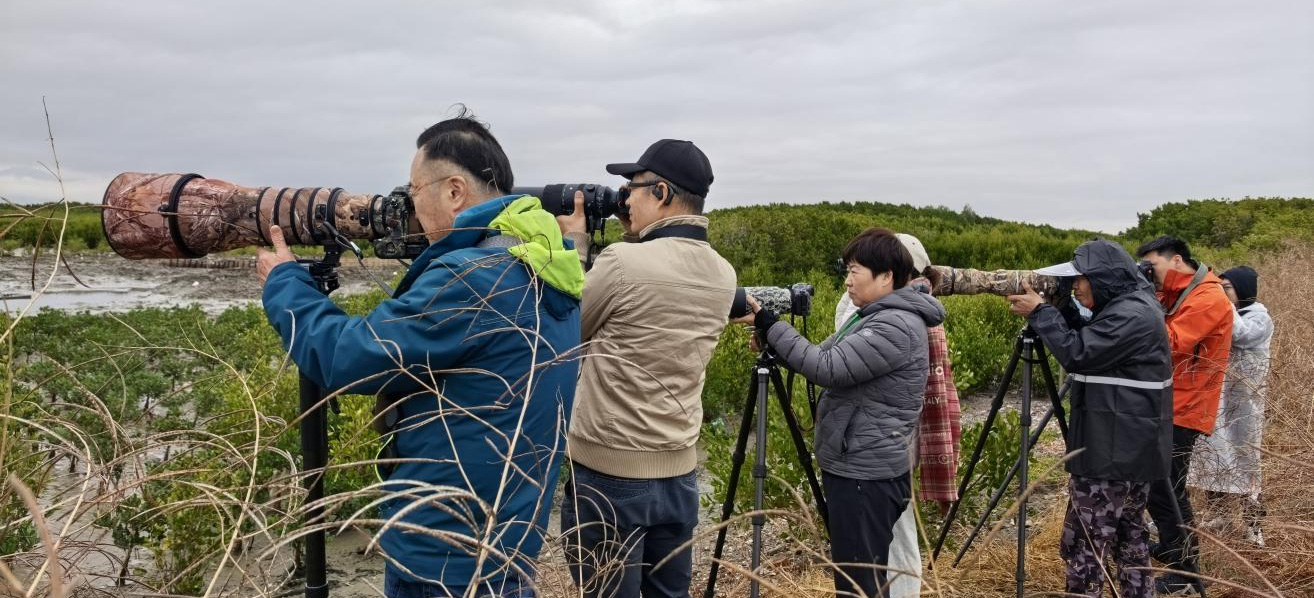世界湿地日瞰广东｜鸟友千里赴海丰 用镜头定格广东湿地生态之美