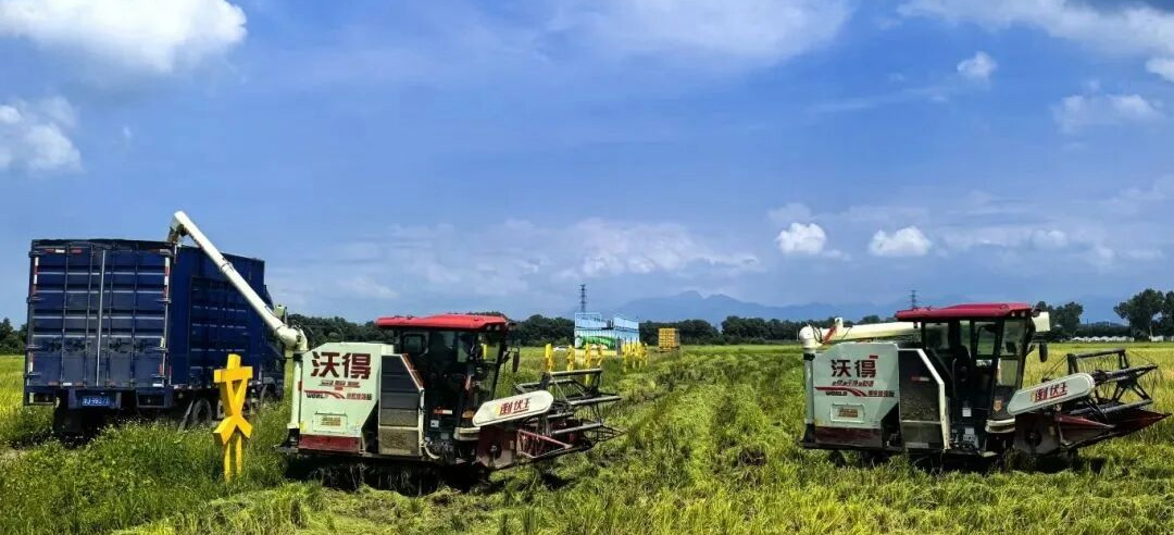 金融“活水”润南粤，广东金融多措并举赋能“百千万工程”三年见实效