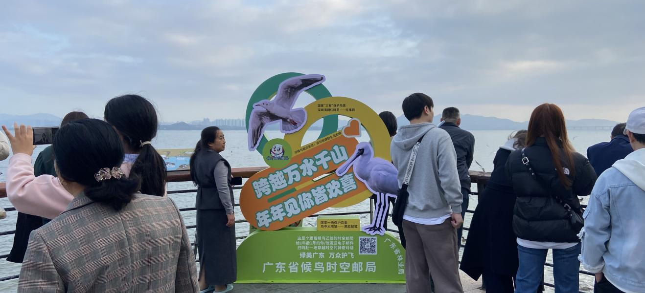 候鸟传福开新局！广东省候鸟时空邮局成春节寄愿新民俗