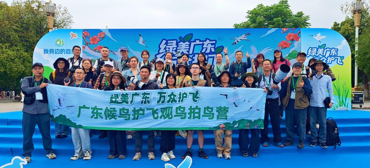爱鸟周广东观鸟拍鸟营走进广州海珠湿地 以鸟为媒传递万众护飞理念