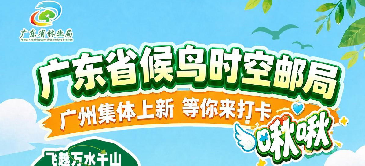 绿美广东万众护飞｜白露至鸿雁来  广东省候鸟时空邮局迎来打卡潮，快来广州这七个点位共赴飞羽新约